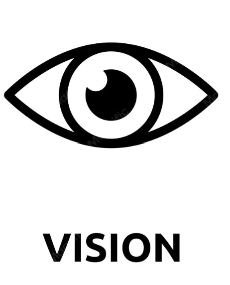 Visi��n